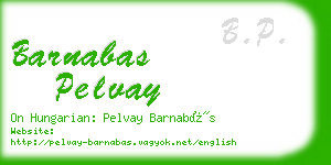 barnabas pelvay business card